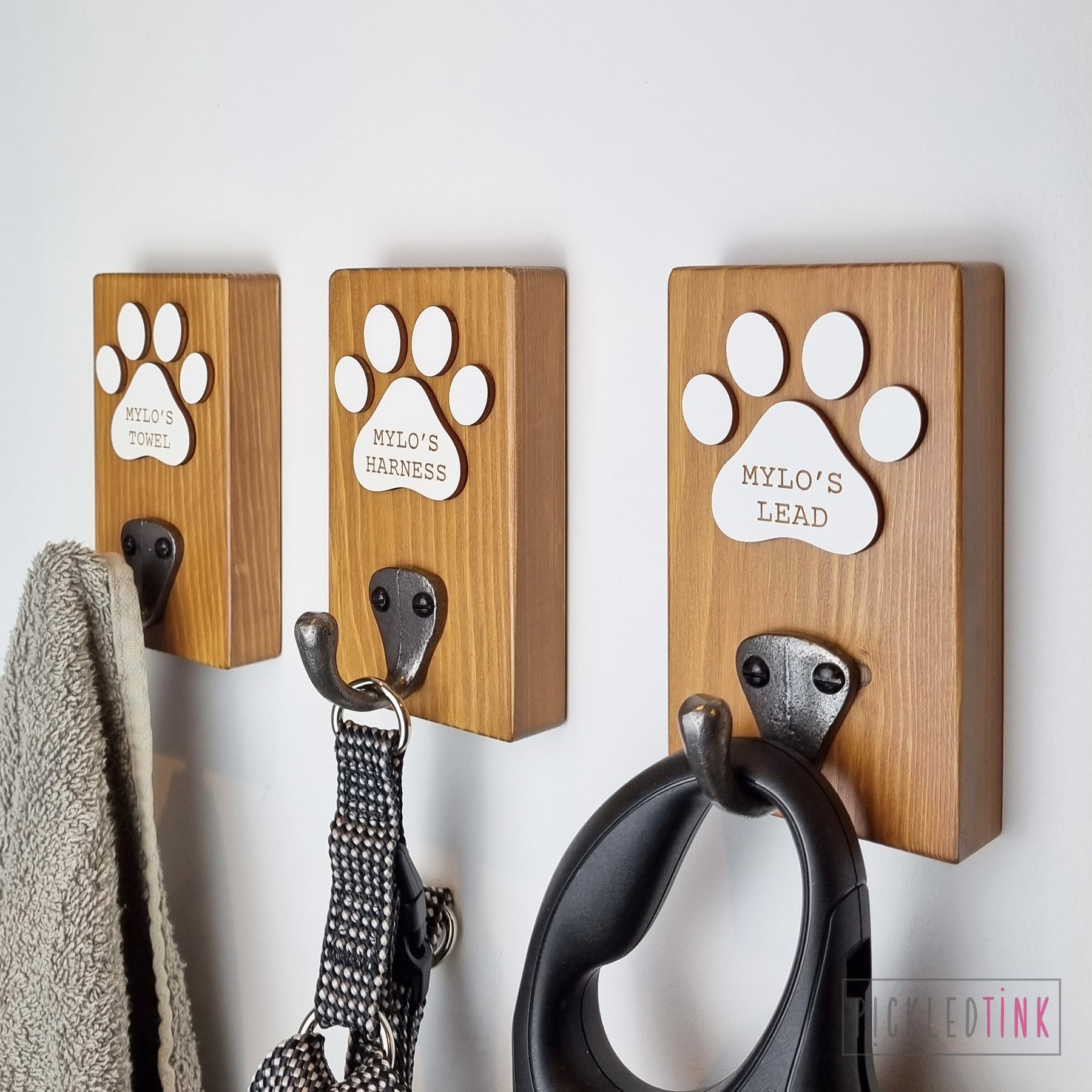 For Dogs and Their Owners